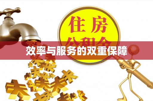 安县效率与服务的双重保障