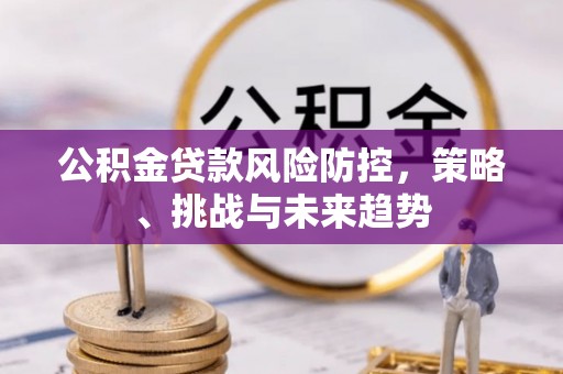 安县公积金贷款风险防控，策略、挑战与未来趋势