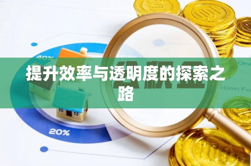 安县提升效率与透明度的探索之路
